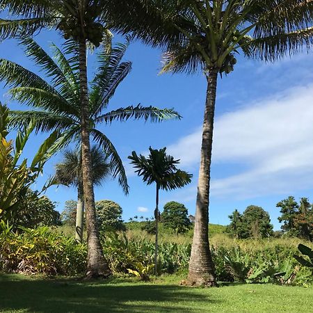 Island Goode'S - Luxury Adult Only Accommodation Near Hilo Papaikou المظهر الخارجي الصورة