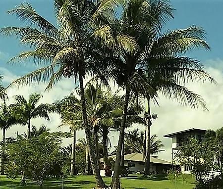 Island Goode'S - Luxury Adult Only Accommodation Near Hilo Papaikou المظهر الخارجي الصورة