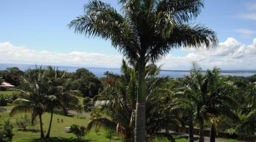 Island Goode'S - Luxury Adult Only Accommodation Near Hilo Papaikou المظهر الخارجي الصورة
