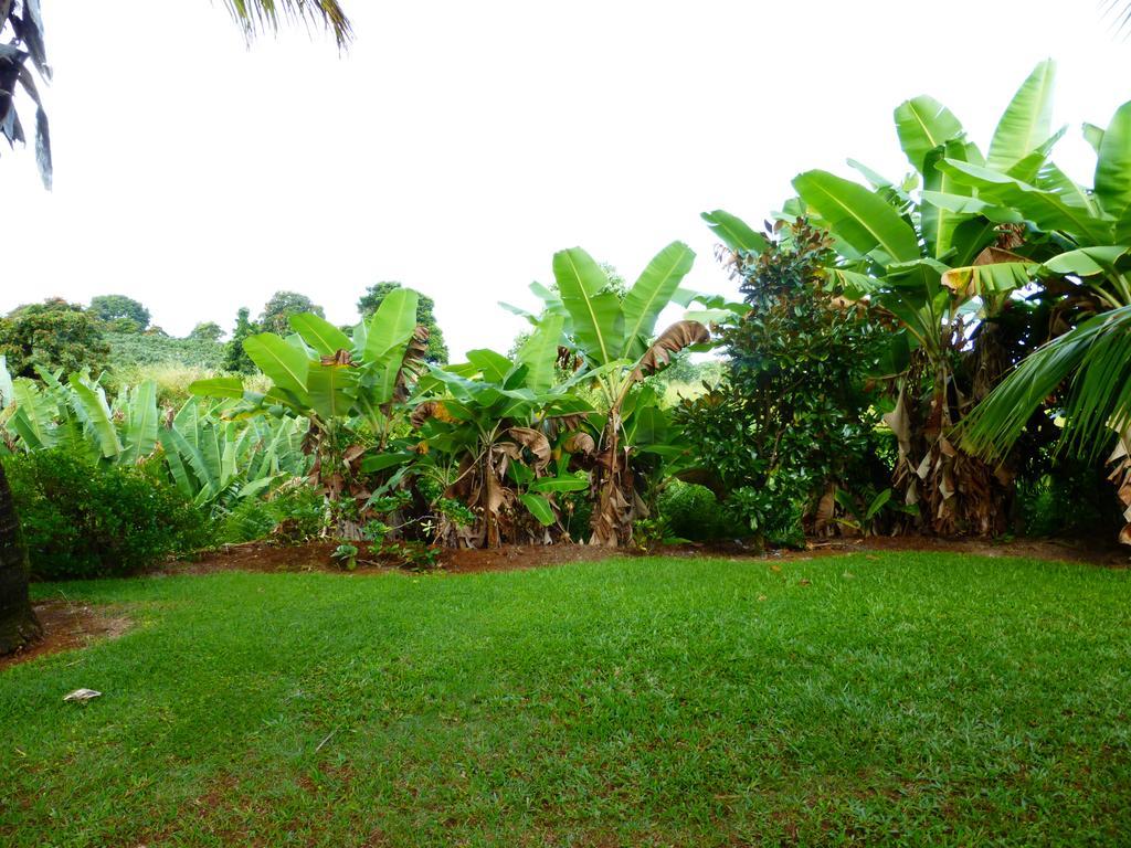 Island Goode'S - Luxury Adult Only Accommodation Near Hilo Papaikou المظهر الخارجي الصورة