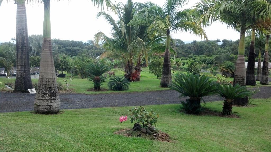 Island Goode'S - Luxury Adult Only Accommodation Near Hilo Papaikou المظهر الخارجي الصورة