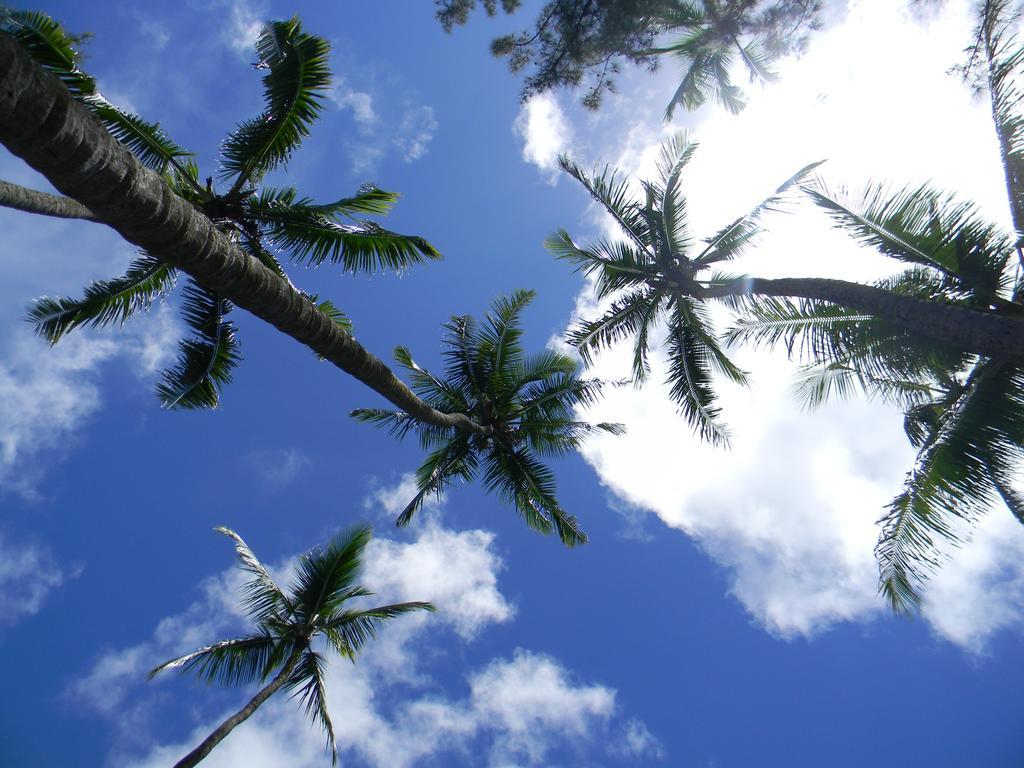 Island Goode'S - Luxury Adult Only Accommodation Near Hilo Papaikou المظهر الخارجي الصورة