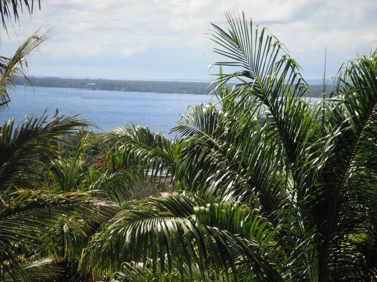 Island Goode'S - Luxury Adult Only Accommodation Near Hilo Papaikou المظهر الخارجي الصورة