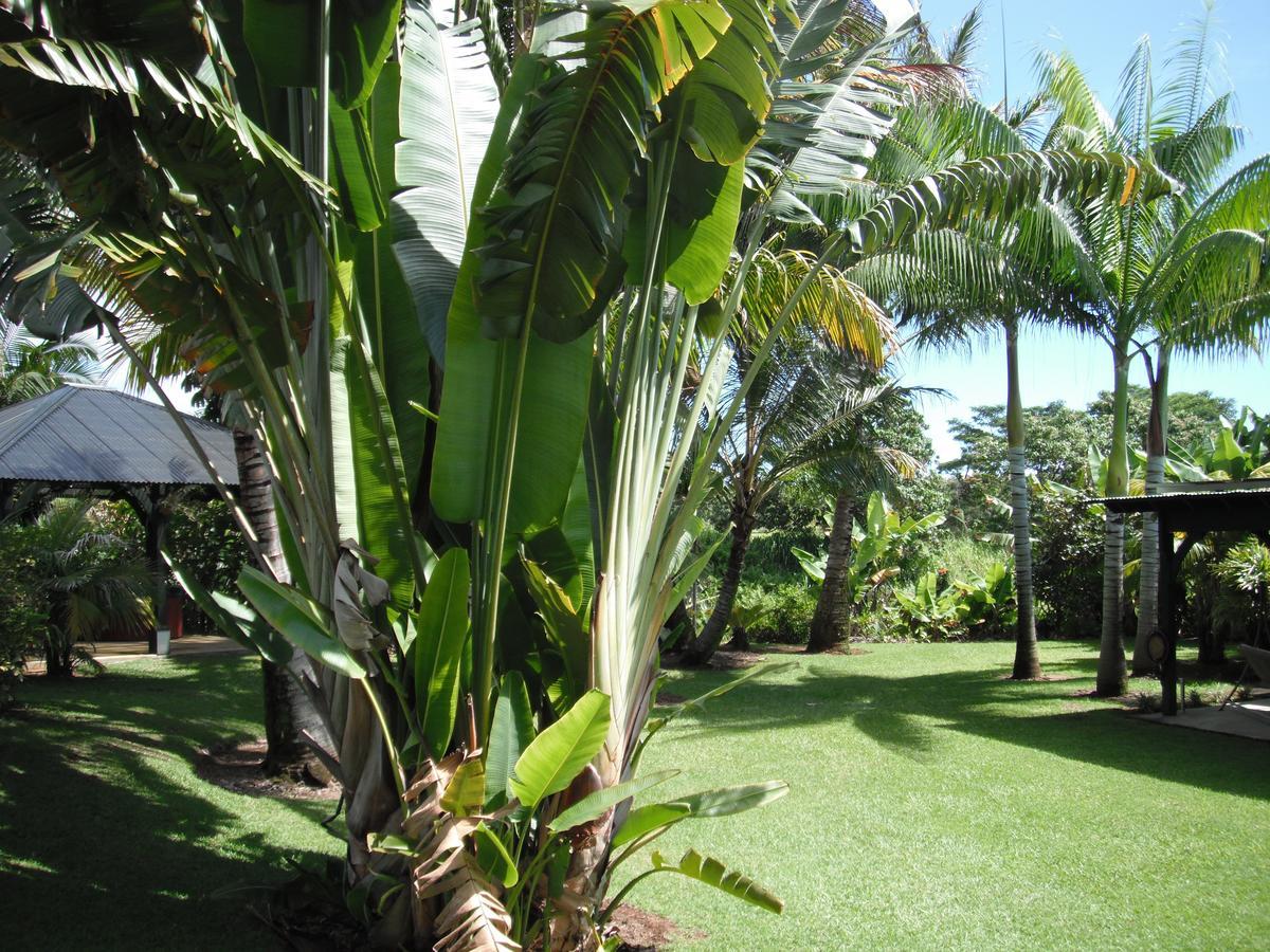 Island Goode'S - Luxury Adult Only Accommodation Near Hilo Papaikou المظهر الخارجي الصورة