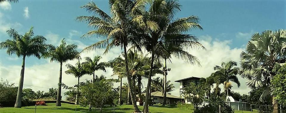 Island Goode'S - Luxury Adult Only Accommodation Near Hilo Papaikou المظهر الخارجي الصورة